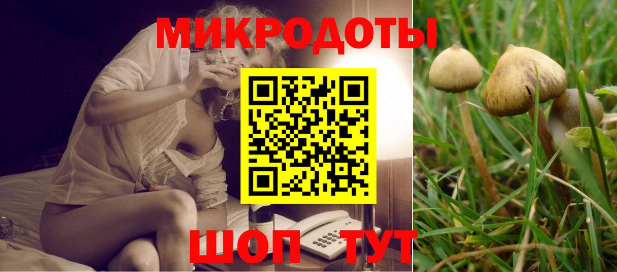 Галлюциногенные грибы Magic Shrooms Ачхой-Мартан