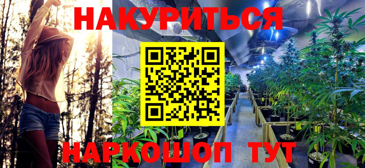 Шишки марихуана White Widow Ачхой-Мартан